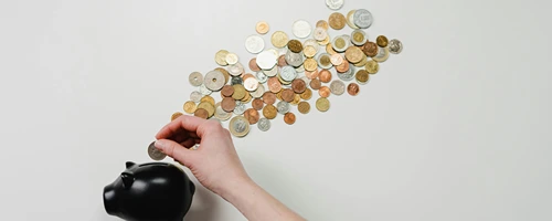 como funciona ajuste de precios temu
